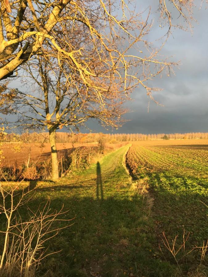 La Suite Cosy - Votre Pause Arboree La Bruyere Exterior photo