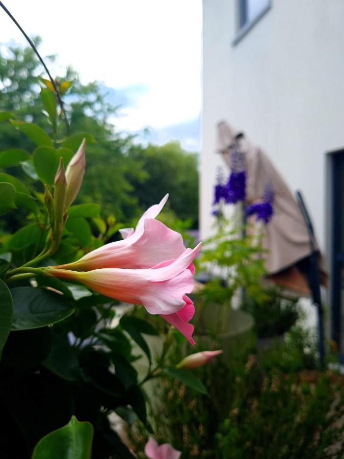 La Suite Cosy - Votre Pause Arboree La Bruyere Exterior photo