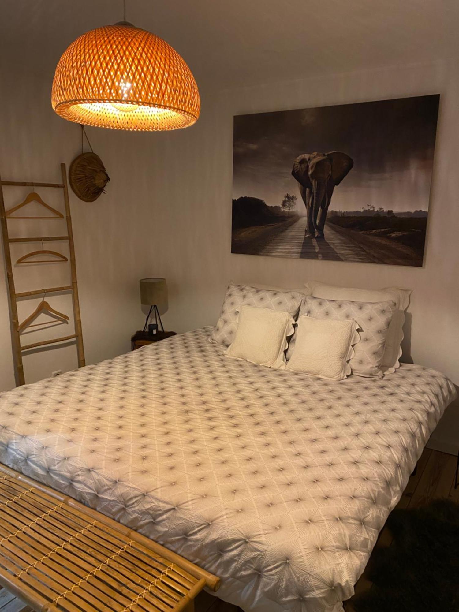 La Suite Cosy - Votre Pause Arboree La Bruyere Exterior photo